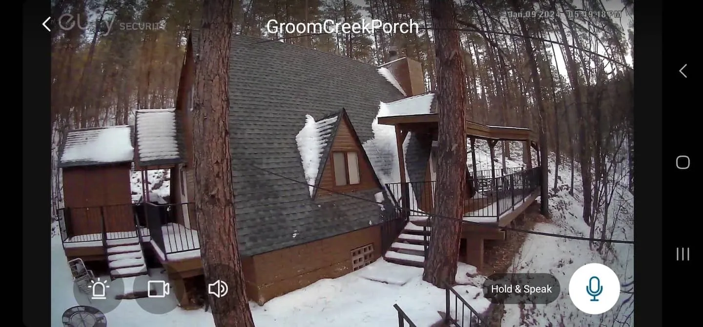 Snow dusting the pines on a winter evening in Prescott