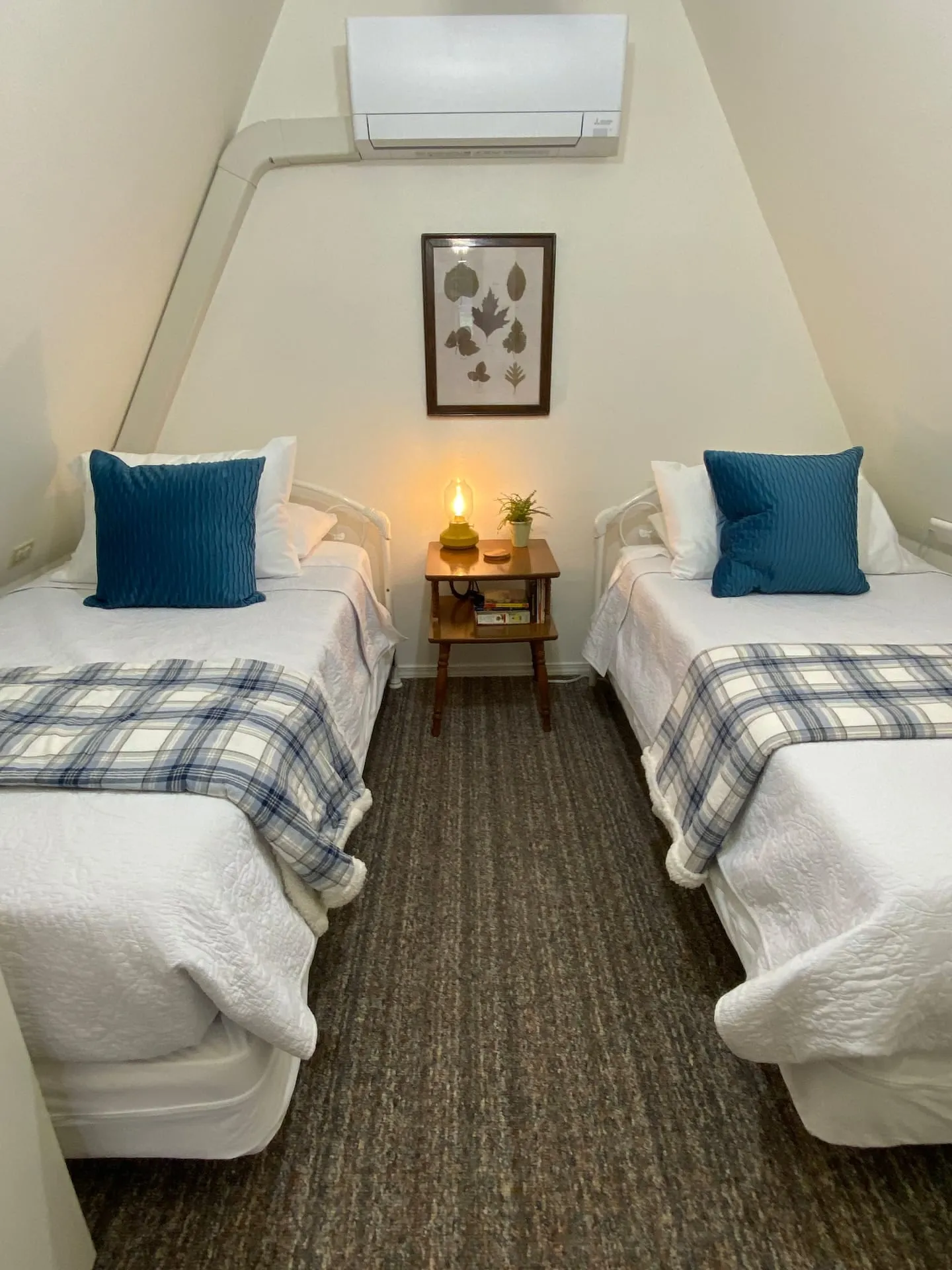Bedroom with two cozy beds