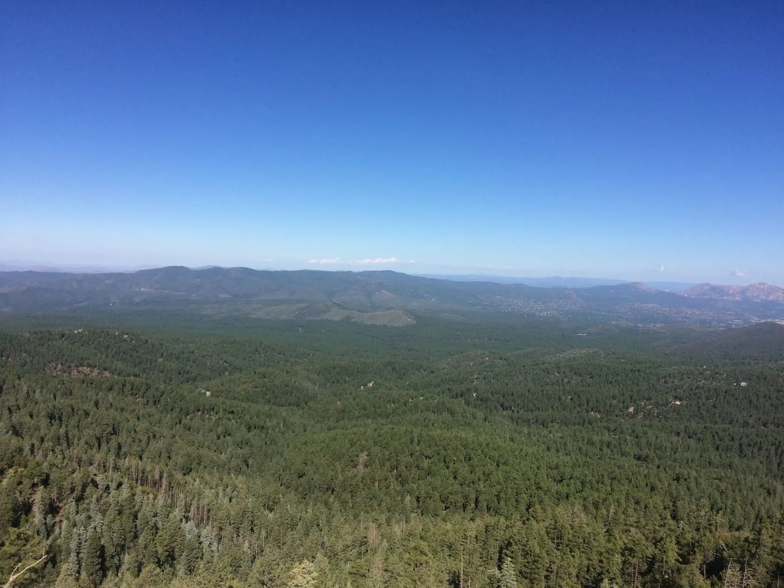 A wide view over the green pine forest of the Prescott high country